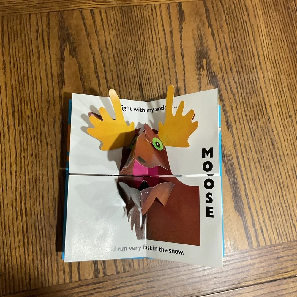 Interactive Animal Pop-Up & Book set: Zoo, Sleep, Jungle, Savanna, Duck & Seal